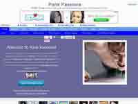 punkpassions.com